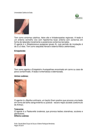 Universidade Católica de Goiás




Tem como sintomas calafrios, febre alta e linfadenopatias regionais. A lesão é
um eritema vermelho vivo com hipertermia local; eritema com contornos em
forma de labareda inicialmente e posteriores contornos borrados.
O agente é o Streptococcus pyogenes (grupo A), cujo período de incubação é
de 2 a 3 dias. Tem como sequelas fibrose e edema lifático (elefantíase).

Erisipeloide:




Tem como agente o Erisipelotrix rhusiopathiae encontrado em carne ou osso de
porco contaminado. A lesão é eritematosa e edemaciada.

Antraz cutâneo:




O agente é o Bacillus anthracis, um bacilo Gram positivo que provoca uma lesão
em forma de bolha sanguinolenta ou pústula - escara negra azulada (carbúnculo
do Antraz).

Tularemia:
O agente é a Pasteurella turalensis, que provoca lesões ulcerativas, oculares e
glandulares.
Difteria cutânea:



Profa. Cláudia Maria Duque de Souza e Edlaine Rodrigues Montalváo.
Página 78 de 87
 