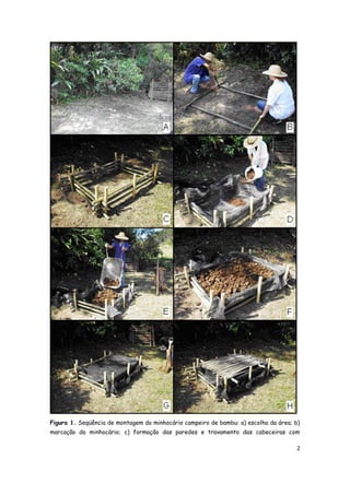 2
Figura 1. Seqüência de montagem do minhocário campeiro de bambu: a) escolha da área; b)
marcação do minhocário; c) forma...