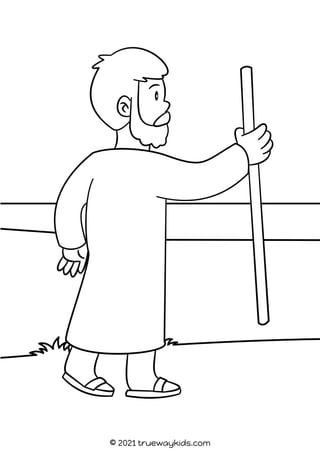 © 2021 truewaykids.com
 