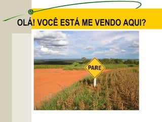 OLÁ! VOCÊ ESTÁ ME VENDO AQUI?
 