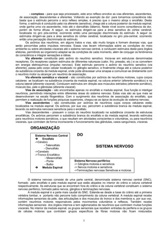 5
- complexo - para que seja processado, este arco reflexo envolve as vias aferentes, ascendentes,
de associação, descendentes e eferentes. Voltando ao exemplo da dor: para tomarmos consciência não
basta que o estímulo percorra o arco reflexo simples, é preciso que o mesmo atinja o encéfalo. Desta
forma, o estímulo é conduzido pela via aferente (sensitiva), chega até a coluna posterior da medula espinal,
onde ganha uma via ascendente, indo até o diencéfalo (tálamo). Neste nível ocorre consci6encia da dor,
porém de forma difusa. A seguir, os estímulos dirigem-se para a área sensitiva do córtex cerebral,
localizada no giro pós-central, ocorrendo então uma percepção discriminada do estímulo. A seguir os
estímulos dirigem-se para a área sensitiva do córtex cerebral, localizada no giro pós-central, ocorrendo
então uma percepção discriminada do estímulo.
Os axônios dos neurônios, em alguns tratos e vias, são muito longos e formam diversas vias, que
serão percorridas pelos impulsos nervosos. Essas vias levam informações sobre as condições do meio
ambiente ou sobre atividades viscerais até o sistema nervoso central, e conduzem estímulos deste para órgãos
efetores, permitindo ao organismo adaptar-se às condições de cada momento, além de conjugar os fenômenos
da consciência e integrar sensações e idéias.
Via aferente- constituída pelo axônio do neurônio sensitivo. Inicia-se em estruturas denominadas
receptores. Os receptores captam estímulos de diferentes naturezas (calor, frio, pressão, etc.) e os convertem
em energia eletroquímica (impulso nervoso). Este estímulo percorre o axônio do neurônio sensitivo (via
aferente), passa pelo corpo celular localizado no glânglio sensitivo, e finalmente chega até a coluna posterior
da substância cinzenta da medula espinal, onde pode atravessar uma sinapse e comunicar-se diretamente com
o neurônio motor ou alcançar um neurônio de associação.
Via eferente somática e visceral - são constituídas por axônios de neurônios motores, cujos corpos
celulares se localizam na substância cinzenta da medula espinal, na coluna anterior (eferente somático) e na
coluna lateral (eferente visceral). Conduzem estímulos em direção aos músculos estriados (eferente somático),
músculo liso, pele e glândulas (eferente visceral).
Vias de associação - são encontradas apenas no encéfalo e medula espinal. Sua função é interligar
neurônios, permitindo interações entre diferentes áreas do sistema nervoso. Estas vias são as que mais se
desenvolveram na escala filogenética. Com o surgimento dos neurônios de associação do encéfalo, que
permitem a realização de funções psíquicas superiores, chegou-se ao ápice da evolução do sistema nervoso.
Vias ascendentes - são constituídas por axônios de neurônios cujos corpos celulares estão
localizados na medula espinal. Os axônios, por sua vez, percorrem a substância branca da medula espinal,
levando os estímulos nervosos sensitivos para o encéfalo.
Vias descendentes - possuem o corpo do neurônio localizado na substância cinzenta de estruturas
encefálicas. Os axônios percorrem a substância branca do encéfalo e da medula espinal, levando estímulos
para neurônios motores somáticos, o que resultam em atividades conscientes e voluntárias, ou para neurônios
viscerais, que controlam de forma inconsciente o funcionamento das glândulas, vasos sanguïneos, vísceras.
O sistema nervoso consiste de uma parte central, denominada sistema nervoso central (SNC),
formado pelo encéfalo e pela medula espinal que estão alojados no interior do crânio e coluna vertebral
respectivamente. As estruturas que se encontram fora do crânio e da coluna vertebral constituem o sistema
nervoso periférico, formado pelos nervos, gânglios e terminações nervosas.
A medula espinal é a parte mais caudal do SNC. Estende-se desde a base do crânio até a primeira
vértebra lombar, e portanto não percorre todo comprimento da coluna vertebral. A medula espinal recebe
informações sensoriais da pele, das articulações e dos músculos do tronco e dos membros e, por sua vez,
contém neurônios motores responsáveis pelos movimentos voluntários e reflexos. Também recebe
informações sensoriais dos órgãos internos e tem aglomerados de neurônios que controlam muitas funções
viscerais. No interior da medula espinal, os grupos sensoriais que recebem entradas da periferia e os grupos
de células motoras que controlam grupos específicos de fibras motoras não ficam misturados
Sistema Nervoso Central
 Encéfalo
->Cérebro
- Telencéfalo
- Diencéfalo
->Cerebelo
->Tronco Encefálico
- Mesencéfalo
- Ponte
- Bulbo
 Medula Espinal
Sistema Nervoso periférico
-> Gânglios motores e sensitivos
-> Nervos motores e sensitivos
->Terminações nervosas Sensitivas e motoras
ORGANIZAÇÃO
SISTEMA NERVOSO
DO
 