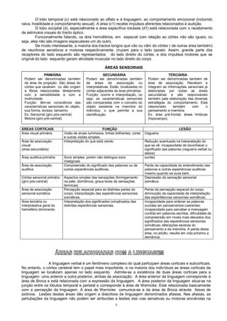 7
O lobo temporal (c) está relacionado ao olfato e á linguagem; ao comportamento emocional (incluindo
raiva, hostilidade e comportamento sexual). A área (c1) recebe impulsos aferentes relacionados à audição.
O lobo occipital (d), especialmente a área específica rotulada (d1) está relacionada com o recebimento
de estímulos visuais do tracto óptico.
Funcionalmente falando, os dois hemisférios, em especial com relação ao córtex não são iguais; ou
seja, eles não são imagens especulares um do outro.
De modo interessante, a maioria dos tractos longos que vão ou vêm do córtex ( de outras área também)
de neurônios sensitivos e motores respectivamente, cruzam para o lado oposto. Assim, grande parte dos
receptores do lado esquerdo são representados do lado direito do córtex, e dos impulsos motores que se
original do lado esquerdo geram atividade muscular no lado direito do corpo.
ÁREAS SENSORIAIS
ÁREAS CORTICAIS FUNÇÃO LESÃO
Área visual primária Visão de sinais luminosos, linhas brilhantes, cores
e outras visões simples.
Cegueira
Área de associação
visual
(área secundária)
Interpretação do que está vendo Redução acentuada na interpretação do
que se vê, incapacidade de reconhecer o
significado das palavras (cegueira verbal ou
alexia)
Área auditiva primária Sons simples, porém não distingue sons
inteligíveis
surdez
Área de associação
auditiva
Compreensão do significado das palavras ou de
outras experiências auditivas.
Perda da capacidade do entendimento das
palavras e outras experiências auditivas
mesmo quando se ouve bem.
Córtex sensorial primário
(giro pós-central)
Aspectos simples das sensações (formigamento
na pele, dormência, graus leves de sensações
térmicas)
Depressão da sensação sensorial
somática.
Área de associação
sensorial somática
Percepção espacial para as distintas partes do
corpo, interpretação das experiências sensoriais
somáticas.
Perda da percepção espacial do corpo,
diminuição da capacidade de interpretação
das experi6encias sensoriais somáticas.
Área terciária ou
interpretativa geral do
hemisfério dominante.
Interpretação dos significados complicados das
distintas experiências sensoriais.
Incapacidade para ordenar as palavras
ouvidas em pensamentos coerentes;
incapacidade para perceber a mensagem
contida em palavras escritas; dificuldade de
compreensão em níveis mais elevados dos
significados das experiências sensoriais
somáticas; alterações severas do
pensamento e da memória. A perda desta
área, no adulto, resulta em vida próximo a
demência.
A linguagem verbal é um fenômeno complexo do qual participam áreas corticais e subcorticais.
No entanto, o córtex cerebral tem o papel mais importante, e na maioria dos indivíduos as áreas corticais da
linguagem se localizam apenas no lado esquerdo. Admite-se a existência de duas áreas corticais para a
linguagem: uma anterior e outra posterior, ambas de associação. A área anterior da linguagem corresponde à
área de Broca e está relaconada com a expressão da linguagem. A área posterior da linguagem situa-se na
junção entre os lóbulos temporal e parietal e corresponde à área de Wernicke. Está relacionada basicamente
com a percepção da linguagem. A área de Wernicke comunica-se a da área de Broca através feixes de
axônios. Lesões destas áreas dão origem a distúrbios de linguagem denominados afasias. Nas afasias, as
pertubações da linguagem não podem ser atribuídas a lesões das vias sensitivas ou motoras envolvidas na
PRIMÁRIA
Podem ser denominadas também
de área de projeção. São áreas do
córtex que recebem ou dão origem
a fibras relacionadas diretamente
com a sensibilidade e com a
motricidade.
Função: têm-se consciência das
características sensoriais do objeto,
sua forma, dureza, tamanho.
Ex: Sensorial (giro pós-central)
Motora (giro pré-central).
SECUNDÁRIA
Podem ser denominadas também
de áreas de associação ou
interpretativas. Estão localizadas no
córtex adjacentes às área primárias.
Função: ocorre a interpretação, ou
seja, as características sensoriais
são comparadas com o conceito do
objeto existente na memória do
indivíduo, o que permite a sua
identificação.
TERCIÁRIA
Podem ser denominadas também de
área de associação. Recebem e
integram as informações sensoriais já
elaboradas por todas as áreas
secundárias e são responsáveis
também pela elaboração das diversas
estratégias do comportamento. Está
relacionado também com o
pensamento e memória.
Ex: área pré-frontal; áreas límbicas
(hipocampo).
 