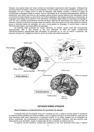 8
fonação, mas apenas lesão das áreas corticais de associação responsáveis pela linguagem. Distinguem-se
dois tipos básicos de afasia: motora ou de expressão, em que a lesão ocorre na área de Broca; sensitiva ou de
percepção, em que a lesão ocorre na área de Wernicke. Nas afasias motoras o indivíduo é capaz de
compreender a linguagem falada ou escrita, mas tem dificuldade de se expressar adequadamente, falando ou
escrevendo. Nos casos mais comuns, ele consegue apenas produzir poucas palavras com dificuldade e tende
a encontrar as frases falando ou escrevendo de maneira telegráfica. Nas afasias sensitivas a compreensão da
linguagem tanto falada como escrita é muito deficiente. Há também algum déficit na expressão da linguagem,
uma vez que o perfeito funcionamento da área de Broca depende de informações que recebe da área de
Wernicke, através do fascículo arqueado (feixe de axônios). Nos raros casos em que esse fascículo é lesado,
temos a chamada afasia de condução, em que a compreensão da linguagem é normal (pois a área de
Wernicke está íntegra), mas existe déficit da expressão.
As dislexias estão presentes em muitos indivíduos, no entanto, muitas vezes são erroneamente
diagnosticadas. Não é uma doença, e sim uma disfunção do SNC de origem constitucional
(neurotransmissores) caracterizada pela dificuldade na aquisição ou no uso da leitura e ou/escrita, que
acomete crianças com inteligência normal ou acima da média, sem défices sensoriais.
ESTUDOS SOBRE ATENÇÃO
Bases biológicas e comportamentais do mecanismo de atenção
A atenção para ser processada conta com a atuação de todo o sistema nervoso desde os receptores
do sistema nervoso periférico ao córtex encefálico. Como o sistema nervoso é um todo dinâmico, cada uma de
suas estruturas pode estar relacionada a numerosas funções. È no córtex cerebral que as sensações se
tornam conscientes, são processadas e transformadas em percepções, entretanto, não atua sozinho, para
desempenhar suas atividades recebe a colaboração de todo o restante do sistema nervoso.
O sistema nervoso periférico, através dos receptores e das vias sensitivas envia para o sistema
Vendo palavras
Ouvindo palavras
 