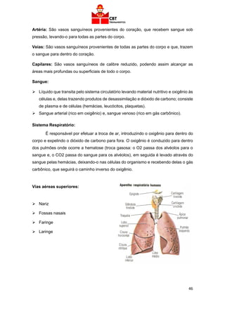 46
Artéria: São vasos sanguíneos provenientes do coração, que recebem sangue sob
pressão, levando-o para todas as partes do corpo.
Veias: São vasos sanguíneos provenientes de todas as partes do corpo e que, trazem
o sangue para dentro do coração.
Capilares: São vasos sanguíneos de calibre reduzido, podendo assim alcançar as
áreas mais profundas ou superficiais de todo o corpo.
Sangue:
➢ Líquido que transita pelo sistema circulatório levando material nutritivo e oxigênio às
células e, delas trazendo produtos de desassimilação e dióxido de carbono; consiste
de plasma e de células (hemácias, leucócitos, plaquetas).
➢ Sangue arterial (rico em oxigênio) e, sangue venoso (rico em gás carbônico).
Sistema Respiratório:
É responsável por efetuar a troca de ar, introduzindo o oxigênio para dentro do
corpo e expelindo o dióxido de carbono para fora. O oxigênio é conduzido para dentro
dos pulmões onde ocorre a hematose (troca gasosa: o O2 passa dos alvéolos para o
sangue e, o CO2 passa do sangue para os alvéolos), em seguida é levado através do
sangue pelas hemácias, deixando-o nas células do organismo e recebendo delas o gás
carbônico, que seguirá o caminho inverso do oxigênio.
Vias aéreas superiores:
➢ Nariz
➢ Fossas nasais
➢ Faringe
➢ Laringe
 