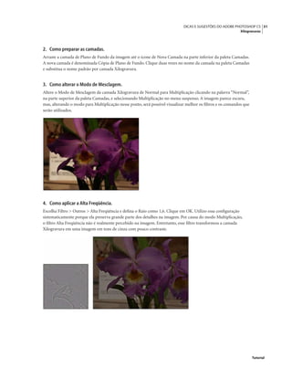31DICAS E SUGESTÕES DO ADOBE PHOTOSHOP CS
Xilogravuras
Tutorial
2. Como preparar as camadas.
Arraste a camada de Plano de Fundo da imagem até o ícone de Nova Camada na parte inferior da paleta Camadas.
A nova camada é denominada Cópia de Plano de Fundo. Clique duas vezes no nome da camada na paleta Camadas
e substitua o nome padrão por camada Xilogravura.
3. Como alterar o Modo de Mesclagem.
Altere o Modo de Mesclagem da camada Xilogravura de Normal para Multiplicação clicando na palavra “Normal”,
na parte superior da paleta Camadas, e selecionando Multiplicação no menu suspenso. A imagem parece escura,
mas, alterando o modo para Multiplicação nesse ponto, será possível visualizar melhor os ﬁltros e os comandos que
serão utilizados.
4. Como aplicar a Alta Freqüência.
Escolha Filtro > Outros > Alta Freqüência e deﬁna o Raio como 1,6. Clique em OK. Utilizo essa conﬁguração
sistematicamente porque ela preserva grande parte dos detalhes na imagem. Por causa do modo Multiplicação,
o ﬁltro Alta Freqüência não é realmente percebido na imagem. Entretanto, esse ﬁltro transformou a camada
Xilogravura em uma imagem em tons de cinza com pouco contraste.
 