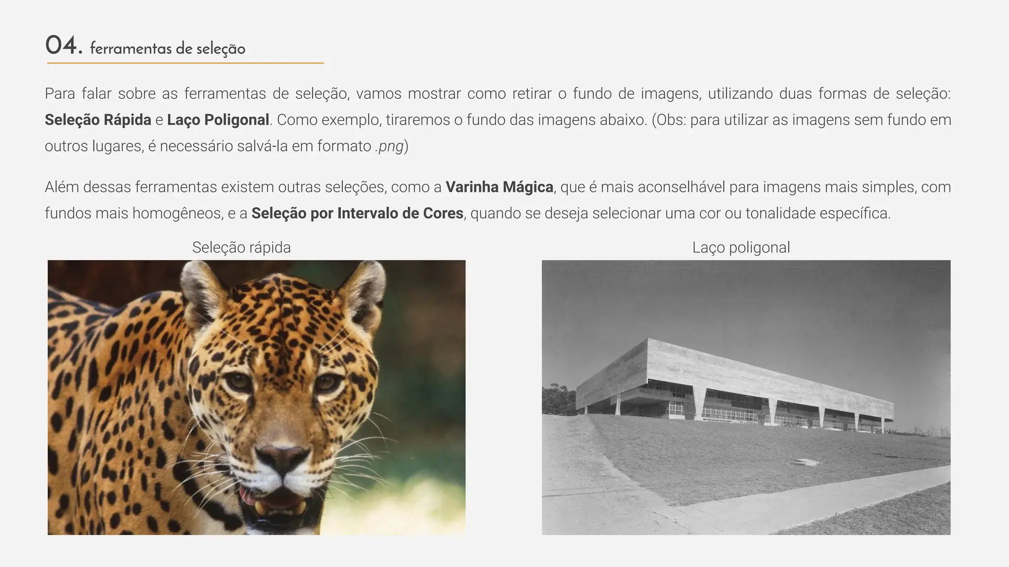 04. ferramentas de seleção
Para falar sobre as ferramentas de seleção, vamos mostrar como retirar o fundo de imagens, utilizando duas formas de seleção:
Seleção Rápida e Laço Poligonal. Como exemplo, tiraremos o fundo das imagens abaixo. (Obs: para utilizar as imagens sem fundo em
outros lugares, é necessário salvá-la em formato .png)
Além dessas ferramentas existem outras seleções, como a Varinha Mágica, que é mais aconselhável para imagens mais simples, com
fundos mais homogêneos, e a Seleção por Intervalo de Cores, quando se deseja selecionar uma cor ou tonalidade especíﬁca.
Seleção rápida Laço poligonal
 