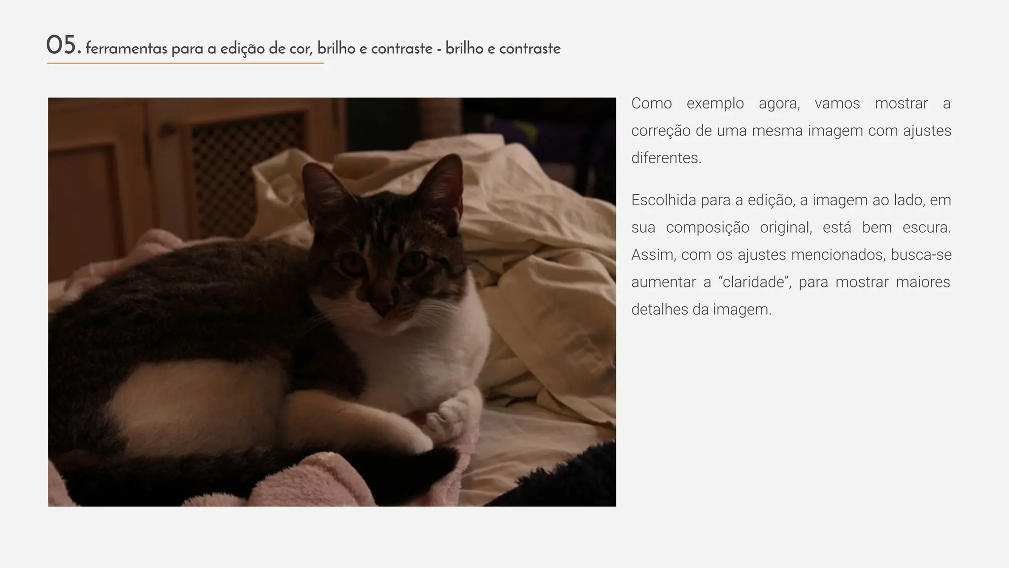 Como exemplo agora, vamos mostrar a
correção de uma mesma imagem com ajustes
diferentes.
Escolhida para a edição, a imagem ao lado, em
sua composição original, está bem escura.
Assim, com os ajustes mencionados, busca-se
aumentar a “claridade”, para mostrar maiores
detalhes da imagem.
05.ferramentas para a edição de cor, brilho e contraste - brilho e contraste
 