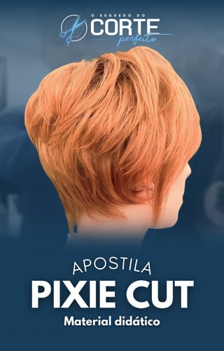 APOSTILA
 