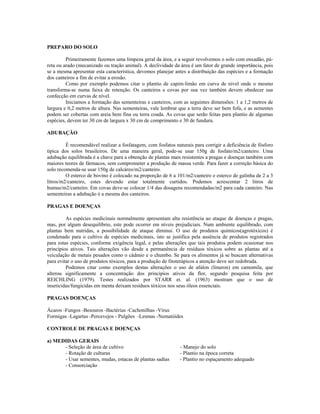 PREPARO DO SOLO

         Primeiramente fazemos uma limpeza geral da área, e a seguir revolvemos o solo com enxadão, pá-
r...
