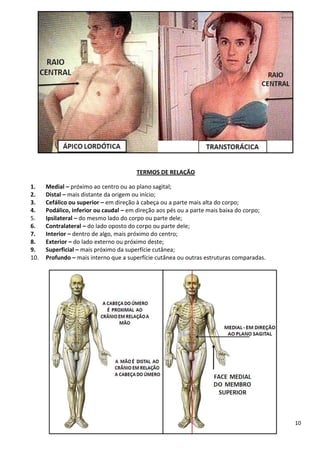 10
TERMOS DE RELAÇÃO
1. Medial – próximo ao centro ou ao plano sagital;
2. Distal – mais distante da origem ou início;
3. Cefálico ou superior – em direção à cabeça ou a parte mais alta do corpo;
4. Podálico, inferior ou caudal – em direção aos pés ou a parte mais baixa do corpo;
5. Ipsilateral – do mesmo lado do corpo ou parte dele;
6. Contralateral – do lado oposto do corpo ou parte dele;
7. Interior – dentro de algo, mais próximo do centro;
8. Exterior – do lado externo ou próximo deste;
9. Superficial – mais próximo da superfície cutânea;
10. Profundo – mais interno que a superfície cutânea ou outras estruturas comparadas.
 