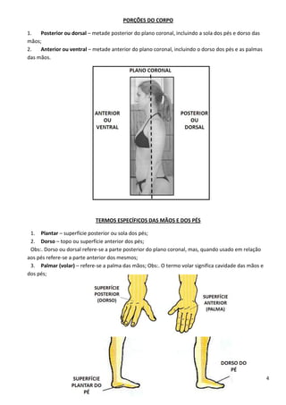 4
PORÇÕES DO CORPO
1. Posterior ou dorsal – metade posterior do plano coronal, incluindo a sola dos pés e dorso das
mãos;
2. Anterior ou ventral – metade anterior do plano coronal, incluindo o dorso dos pés e as palmas
das mãos.
TERMOS ESPECÍFICOS DAS MÃOS E DOS PÉS
1. Plantar – superfície posterior ou sola dos pés;
2. Dorso – topo ou superfície anterior dos pés;
Obs:. Dorso ou dorsal refere-se a parte posterior do plano coronal, mas, quando usado em relação
aos pés refere-se a parte anterior dos mesmos;
3. Palmar (volar) – refere-se a palma das mãos; Obs:. O termo volar significa cavidade das mãos e
dos pés;
 