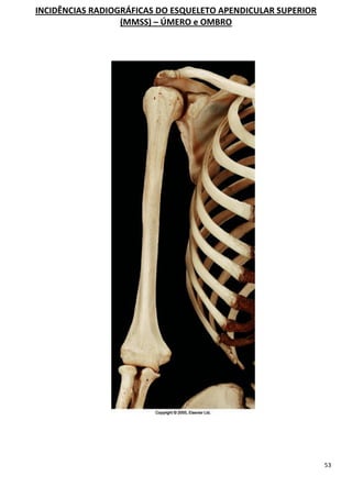 53
INCIDÊNCIAS RADIOGRÁFICAS DO ESQUELETO APENDICULAR SUPERIOR
(MMSS) – ÚMERO e OMBRO
 