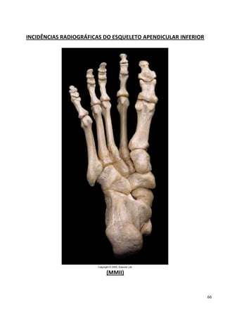 66
INCIDÊNCIAS RADIOGRÁFICAS DO ESQUELETO APENDICULAR INFERIOR
(MMII)
 