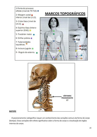 19
BIOTIPO
O posicionamento radiográfico requer um conhecimento das variações comuns da forma do corpo
(biotipo). Estas variações têm efeito significativo sobre a forma do corpo e a localização de órgãos
internos do corpo.
 