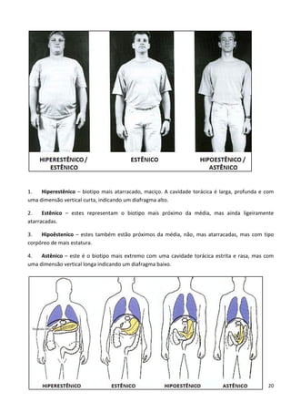 20
1. Hiperestênico – biotipo mais atarracado, maciço. A cavidade torácica é larga, profunda e com
uma dimensão vertical curta, indicando um diafragma alto.
2. Estênico – estes representam o biotipo mais próximo da média, mas ainda ligeiramente
atarracadas.
3. Hipoêstenico – estes também estão próximos da média, não, mas atarracadas, mas com tipo
corpóreo de mais estatura.
4. Astênico – este é o biotipo mais extremo com uma cavidade torácica estrita e rasa, mas com
uma dimensão vertical longa indicando um diafragma baixo.
 