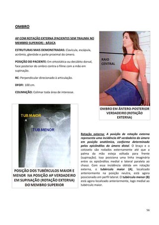 56
OMBRO
AP COM ROTAÇÃO EXTERNA (PACIENTES SEM TRAUMA NO
MEMBRO SUPERIOR) - BÁSICA
ESTRUTURAS MAIS DEMONSTRADAS: Clavícula, escápula,
acrômio, glenóide e parte proximal do úmero.
POSIÇÃO DO PACIENTE: Em ortostática ou decúbito dorsal,
face posterior do ombro contra o filme com a mão em
supinação.
RC: Perpendicular direcionado à articulação.
DFOFI: 100 cm.
COLIMAÇÃO: Colimar toda área de interesse.
Rotação externa: A posição de rotação externa
representa uma incidência AP verdadeira do úmero
em posição anatômica, conforme determinado
pelos epicôndilos do úmero distal. O braço e o
cotovelo são rodados externamente até que a
palma da mão esteja voltada para frente
(supinação). Isso posiciona uma linha imaginária
entre os epicôndilos medial e lateral paralela ao
chassi. Com essa incidência obtida em rotação
externa, o tubérculo maior (A), localizado
anteriormente na posição neutra, está agora
posicionado em perfil lateral. O tubérculo menor (B)
está agora localizado anteriormente, logo medial ao
tubérculo maior.
 