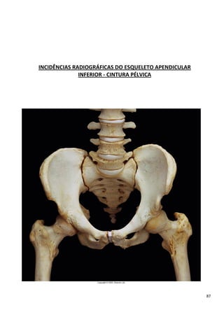 87
INCIDÊNCIAS RADIOGRÁFICAS DO ESQUELETO APENDICULAR
INFERIOR - CINTURA PÉLVICA
 