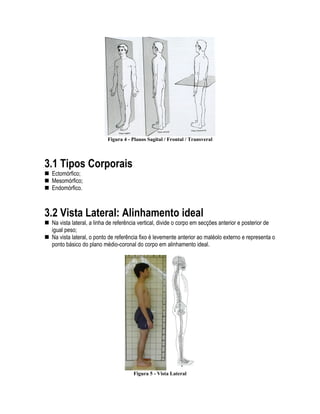 Figura 4 - Planos Sagital / Frontal / Transveral
3.1 Tipos Corporais
„ Ectomórfico;
„ Mesomórfico;
„ Endomórfico.
3.2 Vista Lateral: Alinhamento ideal
„ Na vista lateral, a linha de referência vertical, divide o corpo em secções anterior e posterior de
igual peso;
„ Na vista lateral, o ponto de referência fixo é levemente anterior ao maléolo externo e representa o
ponto básico do plano médio-coronal do corpo em alinhamento ideal.
Figura 5 - Vista Lateral
 