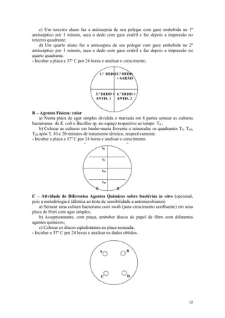 12
c) Um terceiro aluno faz a antissepsia de seu polegar com gaze embebida no 1º
antisséptico por 1 minuto, seca o dedo com gaze estéril e faz depois a impressão no
terceiro quadrante;
d) Um quarto aluno faz a antissepsia de seu polegar com gaze embebida no 2º
antisséptico por 1 minuto, seca o dedo com gaze estéril e faz depois a impressão no
quarto quadrante.
- Incubar a placa a 37º C por 24 horas e analisar o crescimento.
B – Agentes Físicos: calor
a) Numa placa de agar simples dividida e marcada em 8 partes semear as culturas
bacterianas de E. coli e Bacillus sp. no espaço respectivo ao tempo T0 ;
b) Colocar as culturas em banho-maria fervente e reinocular os quadrantes T5, T10,
T20 após 5, 10 e 20 minutos de tratamento térmico, respectivamente.
- Incubar a placa a 37o
C por 24 horas e analisar o crescimento.
C – Atividade de Diferentes Agentes Químicos sobre bactérias in vitro (opcional,
pois a metodologia é idêntica ao teste de sensibilidade a antimicrobianos)
a) Semear uma cultura bacteriana com swab (para crescimento confluente) em uma
placa de Petri com agar simples;
b) Assepticamente, com pinça, embeber discos de papel de filtro com diferentes
agentes químicos;
c) Colocar os discos eqüidistantes na placa semeada;
- Incubar a 37º C por 24 horas e analisar os dados obtidos.
1.º DEDO2.º DEDO
+ SABÃO
4.º DEDO +
ANTIS. 2
3.º DEDO +
ANTIS. 1
--
t0
t10
t5
t20
E B
A B
C D
 