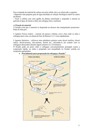 17
Em se tratando de material de cultura em meio sólido, deve ser observado o seguinte:
- Depositar uma pequena gota de água destilada ou solução fisiológica estéril no centro
da lâmina
- Tocar a colônia com uma agulha de platina esterilizada e suspender a mesma na
gotícula d`água, de forma a obter um esfregaço fino e uniforme
c) Fixação do material
A fixação evita que o material se desprenda no decurso das manipulações posteriores.
Pode ser feita por:
# Agentes Físicos (calor) – consiste em passar a lâmina, com a face onde se acha o
esfregaço para cima, na chama do bico de Bunsen 2 a 3 vezes rapidamente
# Agentes Químicos – utiliza-se uma substância química como álcool metílico, álcool
etílico, álcool-acetona, éter-acetona, formol etc., deixando-se em contato com os
esfregaços dessecados durante alguns minutos (2 a 10 minutos).
O fixador pode ser posto sobre o esfregaço convenientemente protegido contra a
evaporação rápida, ou então o preparado será mergulhado no fixador contido em
recipientes apropriados.
· Procedimento para preparação do esfregaço e fixação.2
 