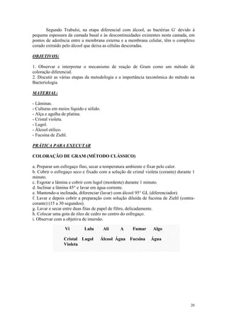 20
Segundo Trabulsi, na etapa diferencial com álcool, as bactérias G-
devido à
pequena espessura da camada basal e às descontinuidades existentes nesta camada, em
pontos de aderência entre a membrana externa e a membrana celular, têm o complexo
corado extraído pelo álcool que deixa as células descoradas.
OBJETIVOS:
1. Observar e interpretar o mecanismo de reação de Gram como um método de
coloração diferencial.
2. Discutir as várias etapas da metodologia e a importância taxonômica do método na
Bacteriologia.
MATERIAL:
- Lâminas.
- Culturas em meios líquido e sólido.
- Alça e agulha de platina.
- Cristal violeta.
- Lugol.
- Álcool etílico.
- Fucsina de Ziehl.
PRÁTICA PARA EXECUTAR
COLORAÇÃO DE GRAM (MÉTODO CLÁSSICO)
a. Preparar um esfregaço fino, secar a temperatura ambiente e fixar pelo calor.
b. Cobrir o esfregaço seco e fixado com a solução de cristal violeta (corante) durante 1
minuto.
c. Esgotar a lâmina e cobrir com lugol (mordente) durante 1 minuto.
d. Inclinar a lâmina 45° e lavar em água corrente.
e. Mantendo-a inclinada, diferenciar (lavar) com álcool 95° GL (diferenciador).
f. Lavar e depois cobrir a preparação com solução diluída de fucsina de Ziehl (contra-
corante) (15 a 30 segundos).
g. Lavar e secar entre duas fitas de papel de filtro, delicadamente.
h. Colocar uma gota de óleo de cedro no centro do esfregaço.
i. Observar com a objetiva de imersão.
Vi Lulu Ali A Fumar Algo
Cristal Lugol Álcool Água Fucsina Água
Violeta
 
