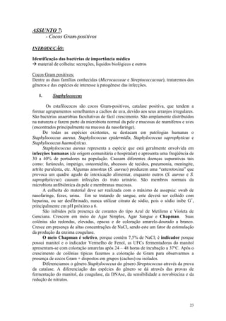 23
ASSUNTO 7:
- Cocos Gram-positivos
INTRODUÇÃO:
Identificação das bactérias de importância médica
à material de colheita: secreções, líquidos biológicos e outros
Cocos Gram positivos:
Dentre as duas famílias conhecidas (Microcacceae e Streptococcaceae), trataremos dos
gêneros e das espécies de interesse à patogênese das infecções.
I. Staphylococcus
Os estafilococos são cocos Gram-positivos, catalase positiva, que tendem a
formar agrupamentos semelhantes a cachos de uva, devido aos seus arranjos irregulares.
São bactérias anaeróbias facultativas de fácil crescimento. São amplamente distribuídos
na natureza e fazem parte da microbiota normal da pele e mucosas de mamíferos e aves
(encontrados principalmente na mucosa da nasofaringe).
De todas as espécies existentes, se destacam em patologias humanas o
Staphylococcus aureus, Staphylococcus epidermidis, Staphylococcus saprophyticus e
Staphylococcus haemolyticus.
Staphylococcus aureus representa a espécie que está geralmente envolvida em
infecções humanas (de origem comunitária e hospitalar) e apresenta uma freqüência de
30 a 40% de portadores na população. Causam diferentes doenças supurativas tais
como: furúnculo, impetigo, osteomielite, abcessos de tecidos, pneumonia, meningite,
artrite purulenta, etc. Algumas amostras (S. aureus) produzem uma “enterotoxina” que
provoca um quadro agudo de intoxicação alimentar, enquanto outros (S. aureus e S.
saprophyticcus) causam infecções do trato urinário. São membros normais da
microbiota anfibiôntica da pele e membranas mucosas.
A colheita do material deve ser realizada com o máximo de assepsia: swab de
nasofaringe, fezes, urina. Em se tratando de sangue, este deverá ser colhido com
heparina, ou ser desfibrinado, nunca utilizar citrato de sódio, pois o sódio inibe G+
,
principalmente em pH próximo a 6.
São inibidos pela presença de corantes do tipo Azul de Metileno e Violeta de
Genciana. Crescem em meio de Agar Simples, Agar Sangue e Chapman. Suas
colônias são redondas, elevadas, opacas e de coloração amarelo-dourado a branco.
Cresce em presença de altas concentrações de NaCl, sendo este um fator de estimulação
da produção da enzima coagulase.
O meio Chapman é seletivo, porque contém 7,5% de NaCl; é indicador porque
possui manitol e o indicador Vermelho de Fenol, as UFCs fermentadoras do manitol
apresentam-se com coloração amarelas após 24 – 48 horas de incubação a 37ºC. Após o
crescimento de colônias típicas fazemos a coloração de Gram para observarmos a
presença de cocos Gram + dispostos em grupos (cachos) ou isolados.
Diferenciamos o gênero Staphylococcus do gênero Streptococcus através da prova
da catalase. A diferenciação das espécies do gênero se dá através das provas de
fermentação do manitol, da coagulase, da DNAse, da sensibilidade a novobiocina e da
redução de nitratos.
 