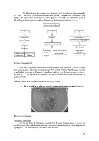 27
Na identificação de estreptococos além do perfil hemolítico, a determinação
do Grupo Lancefield (carboidrato antigênico de parede) é importante. No entanto, em
função do custo desta investigação outras provas auxiliares são realizadas para a
identificação das principais espécies. O esquema abaixo apresenta estas provas:
Cultura (“pour plate”)
Fazer uma suspensão do material colhido em um tubo contendo 1 ml de solução
fisiológica estéril e adicionar a uma placa de Petri estéril. Juntar o Agar Sangue fundido
e resfriado e promover a difusão do inóculo no meio através de movimentos circulares.
Incubar a 37ºC por 18 horas em atmosfera de microaerofilia ara melhor rendimento, ou
jarra com vela.
Leitura: Observação do tipo de hemólise em Agar Sangue.
· Beta hemólise produzida por Streptococcus viridans em Agar Sangue4
.
Provas bioquímicas
- Prova da optoquina:
Colocar um disco de optoquina na superfície do Agar Sangue (pode-se incluir no
antibiograma). Havendo impedimento do crescimento das colônias ao redor do disco de
optoquina (2 cm de diâmetro), trata-se de teste positivo.
 