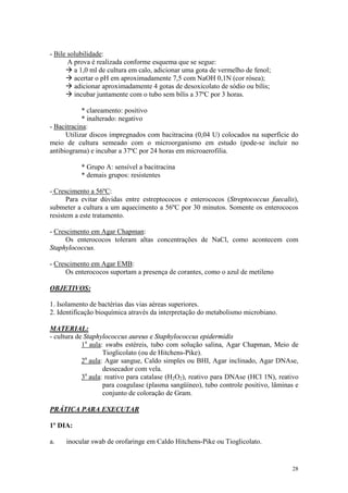 28
- Bile solubilidade:
A prova é realizada conforme esquema que se segue:
à a 1,0 ml de cultura em calo, adicionar uma gota de vermelho de fenol;
à acertar o pH em aproximadamente 7,5 com NaOH 0,1N (cor rósea);
à adicionar aproximadamente 4 gotas de desoxicolato de sódio ou bílis;
à incubar juntamente com o tubo sem bílis a 37ºC por 3 horas.
* clareamento: positivo
* inalterado: negativo
- Bacitracina:
Utilizar discos impregnados com bacitracina (0,04 U) colocados na superfície do
meio de cultura semeado com o microorganismo em estudo (pode-se incluir no
antibiograma) e incubar a 37ºC por 24 horas em microaerofilia.
* Grupo A: sensível a bacitracina
* demais grupos: resistentes
- Crescimento a 56ºC:
Para evitar dúvidas entre estreptococos e enterococos (Streptococcus faecalis),
submeter a cultura a um aquecimento a 56ºC por 30 minutos. Somente os enterococos
resistem a este tratamento.
- Crescimento em Agar Chapman:
Os enterococos toleram altas concentrações de NaCl, como acontecem com
Staphylococcus.
- Crescimento em Agar EMB:
Os enterococos suportam a presença de corantes, como o azul de metileno
OBJETIVOS:
1. Isolamento de bactérias das vias aéreas superiores.
2. Identificação bioquímica através da interpretação do metabolismo microbiano.
MATERIAL:
- cultura de Staphylococcus aureus e Staphylococcus epidermidis
1a
aula: swabs estéreis, tubo com solução salina, Agar Chapman, Meio de
Tioglicolato (ou de Hitchens-Pike).
2a
aula: Agar sangue, Caldo simples ou BHI, Agar inclinado, Agar DNAse,
dessecador com vela.
3a
aula: reativo para catalase (H2O2), reativo para DNAse (HCl 1N), reativo
para coagulase (plasma sangüíneo), tubo controle positivo, lâminas e
conjunto de coloração de Gram.
PRÁTICA PARA EXECUTAR
1º DIA:
a. inocular swab de orofaringe em Caldo Hitchens-Pike ou Tioglicolato.
 