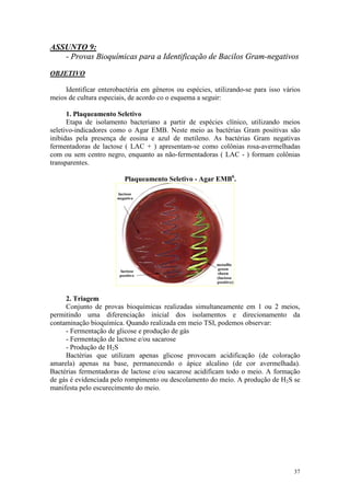 37
ASSUNTO 9:
- Provas Bioquímicas para a Identificação de Bacilos Gram-negativos
OBJETIVO
Identificar enterobactéria em gêneros ou espécies, utilizando-se para isso vários
meios de cultura especiais, de acordo co o esquema a seguir:
1. Plaqueamento Seletivo
Etapa de isolamento bacteriano a partir de espécies clínico, utilizando meios
seletivo-indicadores como o Agar EMB. Neste meio as bactérias Gram positivas são
inibidas pela presença de eosina e azul de metileno. As bactérias Gram negativas
fermentadoras de lactose ( LAC + ) apresentam-se como colônias rosa-avermelhadas
com ou sem centro negro, enquanto as não-fermentadoras ( LAC - ) formam colônias
transparentes.
Plaqueamento Seletivo - Agar EMB6
.
2. Triagem
Conjunto de provas bioquímicas realizadas simultaneamente em 1 ou 2 meios,
permitindo uma diferenciação inicial dos isolamentos e direcionamento da
contaminação bioquímica. Quando realizada em meio TSI, podemos observar:
- Fermentação de glicose e produção de gás
- Fermentação de lactose e/ou sacarose
- Produção de H2S
Bactérias que utilizam apenas glicose provocam acidificação (de coloração
amarela) apenas na base, permanecendo o ápice alcalino (de cor avermelhada).
Bactérias fermentadoras de lactose e/ou sacarose acidificam todo o meio. A formação
de gás é evidenciada pelo rompimento ou descolamento do meio. A produção de H2S se
manifesta pelo escurecimento do meio.
 