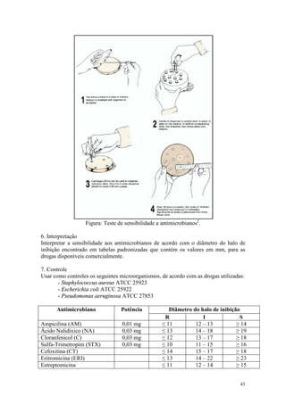 43
Figura: Teste de sensibilidade a antimicrobianos2
.
6. Interpretação
Interpretar a sensibilidade aos antimicrobianos de acordo com o diâmetro do halo de
inibição encontrado em tabelas padronizadas que contém os valores em mm, para as
drogas disponíveis comercialmente.
7. Controle
Usar como controles os seguintes microorganismos, de acordo com as drogas utilizadas:
- Staphylococcus aureus ATCC 25923
- Escherichia coli ATCC 25922
- Pseudomonas aeruginosa ATCC 27853
Diâmetro do halo de inibiçãoAntimicrobiano Potência
R I S
Ampicilina (AM) 0,01 mg ≤ 11 12 – 13 ≥ 14
Ácido Nalidíxico (NA) 0,03 mg ≤ 13 14 – 18 ≥ 19
Cloranfenicol (C) 0,03 mg ≤ 12 13 – 17 ≥ 18
Sulfa-Trimetropim (STX) 0,03 mg ≤ 10 11 – 15 ≥ 16
Cefoxitina (CT) ≤ 14 15 – 17 ≥ 18
Eritromicina (ERI) ≤ 13 14 – 22 ≥ 23
Estreptomicina ≤ 11 12 – 14 ≥ 15
 