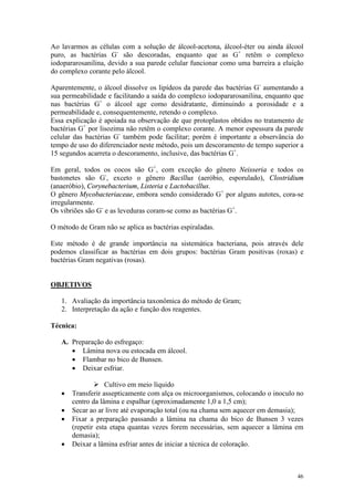 46
Ao lavarmos as células com a solução de álcool-acetona, álcool-éter ou ainda álcool
puro, as bactérias G-
são descoradas, enquanto que as G+
retêm o complexo
iodopararosanilina, devido a sua parede celular funcionar como uma barreira a eluição
do complexo corante pelo álcool.
Aparentemente, o álcool dissolve os lipídeos da parede das bactérias G-
aumentando a
sua permeabilidade e facilitando a saída do complexo iodopararosanilina, enquanto que
nas bactérias G+
o álcool age como desidratante, diminuindo a porosidade e a
permeabilidade e, consequentemente, retendo o complexo.
Essa explicação é apoiada na observação de que protoplastos obtidos no tratamento de
bactérias G+
por lisozima não retêm o complexo corante. A menor espessura da parede
celular das bactérias G-
também pode facilitar; porém é importante a observância do
tempo de uso do diferenciador neste método, pois um descoramento de tempo superior a
15 segundos acarreta o descoramento, inclusive, das bactérias G+
.
Em geral, todos os cocos são G+
, com exceção do gênero Neisseria e todos os
bastonetes são G-
, exceto o gênero Bacillus (aeróbio, esporulado), Clostridium
(anaeróbio), Corynebacterium, Listeria e Lactobacillus.
O gênero Mycobacteriaceae, embora sendo considerado G+
por alguns autotes, cora-se
irregularmente.
Os vibriões são G-
e as leveduras coram-se como as bactérias G+
.
O método de Gram não se aplica as bactérias espiraladas.
Este método é de grande importância na sistemática bacteriana, pois através dele
podemos classificar as bactérias em dois grupos: bactérias Gram positivas (roxas) e
bactérias Gram negativas (rosas).
OBJETIVOS
1. Avaliação da importância taxonômica do método de Gram;
2. Interpretação da ação e função dos reagentes.
Técnica:
A. Preparação do esfregaço:
· Lâmina nova ou estocada em álcool.
· Flambar no bico de Bunsen.
· Deixar esfriar.
Ø Cultivo em meio líquido
· Transferir assepticamente com alça os microorganismos, colocando o inoculo no
centro da lâmina e espalhar (aproximadamente 1,0 a 1,5 cm);
· Secar ao ar livre até evaporação total (ou na chama sem aquecer em demasia);
· Fixar a preparação passando a lâmina na chama do bico de Bunsen 3 vezes
(repetir esta etapa quantas vezes forem necessárias, sem aquecer a lâmina em
demasia);
· Deixar a lâmina esfriar antes de iniciar a técnica de coloração.
 