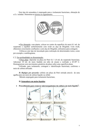 6
Este tipo de semeadura é empregado para o isolamento bacteriano, obtenção de
u.f.c. isoladas. Denomina-se técnica se esgotamento.
· Por distensão: com pipeta, colocar no centro da superfície do meio 0,1 mL da
suspensão e espalhar uniformemente com swab ou alça de Drigalski. Com swab,
obteremos crescimento confluente e com alça de Drigalski, utilizamos para contagem.
Utiliza-se este tipo de inoculação para realização de determinados testes, como
por exemplo, o antibiograma.
C.2. Em profundidade ou disseminação:
· Pour plate: depositar na placa de Petri 0,1/ 1,0 mL da suspensão bacteriana.
Adicionar 10 mL do meio fundido em tubo de ensaio e resfriado a 45-50º C.
Homogeneizar com movimentos giratórios da placa sobre uma superfície plana.
Utilizado, para isolamento, contagem e identificação bacteriana, conforme o
meio de cultura utilizado.
D. Repique por pescaria: colônia em placa de Petri retirada através de uma
agulha para um meio de cultura líquido ou sólido
Método empregado para isolamento bacteriano.
II. Semeadura em meios líquidos
· Procedimento para remover microorganismos da cultura em meio líquido2
:
 