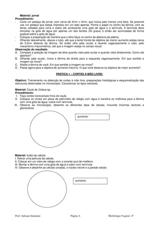 Prof. Adriana Salamoni Página Morfologia Vegetal - P6
Material: jornal
Procedimento:
- Corte um pedaço de jornal, com cerca de 3mm x 3mm, que inclua pelo menos uma letra. Se possível
use um pedaço que esteja impresso em um lado apenas. Ponha o papel no centro da lâmina, com as
letras voltadas para cima e sobre ele acrescente uma gota de água e a lamínula. A lamínula deve
encostar na gota de água por apenas um dos bordos (45 graus) e então ser acomodada de forma
gradual sobre a gota de água;
- Coloque a preparação de maneira que a letra fique no centro da abertura da platina;
- Olhando lateralmente, abaixe o tubo, até que a lente frontal da objetiva de menor aumento esteja cerca
de 0,5cm distante da lâmina. Só então olhe pela ocular e levante vagarosamente o tubo, pelo
mecanismo macrométrico, até que a imagem esteja no campo visual.
Observação do resultado:
A. Compare a posição da imagem da letra quando vista pela ocular e quando vista diretamente. Como ela
aparece?
B. Olhando pela ocular, mova a lâmina da direita para a esquerda vagarosamente. Em que sentido a
imagem se move?
C. Afaste a lâmina de você. Em que sentido a imagem se move?
D. Passe agora para a objetiva de aumento máximo. O que você observa na objetiva de maior aumento?
PRÁTICA 1 – CORTES À MÃO LIVRE:
Objetivo: Treinamento na obtenção de cortes à mão livre, preparações histológicas e esquematização das
estruturas observadas no microscópio. Caracterizar os tipos celulares.
Material: Caule de Coleus sp.
Procedimento:
I. Faça cortes transversais finos do caule.
II. Coloque os cortes em placa de petri/vidro de relógio com água e transfira os melhores para a lâmina
com uma gota de água, cubra com lamínula.
III. Observe ao microscópio, desenhe os diferentes tipos de células, incluindo tricomas tectores e
glandulares.
Material: bulbo de cebola
I. Retirar uma película da cebola.
II. Colocar em um vidro de relógio com o corante azul de metileno.
III. Montar a lâmina com uma gota de água e cobrir com lamínula.
IV. Observe e desenhe as células coradas, o núcleo visível e a parede celular.
aumento:
aumento:
 