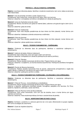 Prof. Adriana Salamoni Página Morfologia Vegetal - P7
PRÁTICA 2 – CÉLULA VEGETAL E EPIDERME:
Objetivo: reconhecer diferentes plastos. Identificar o tecido de revestimento, bem como, todas as estruturas
a ele relacionadas.
Material 1: fruto de pimentão vermelho e verde (Capsicum sp.)
Procedimento: fazer cortes finos, montar lâmina com água, cobrir com lamínula.
Observar e desenhar: cromoplastos vermelhos e cloroplastos em células do parênquima.
Material 2: ramos de Euphorbia (coroa-de–cristo)
Procedimento: Montar uma lâmina com gotas do material (látex), adicionar uma gota de lugol e cobrir com a
lamínula.
Observar e desenhar: grãos de amido.
Material 3: Folha de Tradescantia
Procedimento: fazer finas secções paradérmicas da face inferior da folha (abaxial); montar lâmina com
água.
Observar e desenhar: Idioblastos contendo antocianinas e estômatos.
Material 4: Folha de gramínea
Procedimento: fazer finas secções paradérmicas da face inferior da folha (abaxial); montar lâmina com
água.
Observar e desenhar: células epidérmicas e estômatos.
AULA 3 – TECIDOS FUNDAMENTAIS - PARÊNQUIMA:
Objetivo: Evidenciar os diferentes tipos de parênquima. Identificar e caracterizar colênquima e
esclerênquima.
Material 1: tubérculo de batata (Solanum tuberosum)
Procedimento: fazer cortes finos, corar com lugol e cobrir com lamínula.
Observar e desenhar: amiloplastos em células do parênquima de reserva (amilífero).
Material 2: Folha de Tillandsia.
Procedimento: Efetuar secções transversais da lâmina foliar. Preparar lâmina com água.
Observar e desenhar: na epiderme, os tricomas tectores escamiformes. Parênquima clorofiliano homogêneo
e aqüífero.
Material 3: Pecíolo de Musa sp (bananeira).
Procedimento: Realizar secções transversais finas do pecíolo, selecionando principalmente a região dos
septos. Montar o material em uma lâmina com água e cobrir com lamínula.
Observar e desenhar: parênquima aerífero e cristais.
AULA 4 – TECIDOS FUNDAMENTAIS (PARÊNQUIMA, COLÊNQUIMA E ESCLERÊNQUIMA):
Objetivo: Evidenciar os diferentes tipos de parênquima. Identificar e caracterizar colênquima e
esclerênquima.
Material 1: Folha de Pinus sp., monocotiledônea ou dicotiledônea.
Procedimento: Efetuar secções transversais da lâmina foliar. Preparar lâmina com água.
Observar e desenhar: parênquima clorofiliano plicado, homogêneo, paliçádico e/ou lacunoso. No Pinus,
epiderme, hipoderme, estômatos, canais resiníferos.
Material 2: Folha de Phormium (linho-da-Nova-Zelândia)
Procedimento: fazer cortes transversais, corar com azul de toluidina, lavar e montar lâmina com água,
cobrindo com lamínula.
Observar e desenhar: fibras esclerenquimáticas (formato e características da parede).
AULA 5 - MORFOANATOMIA DE RAIZ E CAULE:
Objetivo: Conhecer a anatomia e a estrutura geral da raiz e do caule, diferenciando os grupos vegetais,
bem como os estágios de crescimento.
Material 1: Caule de Impatiens (beijinho).
 