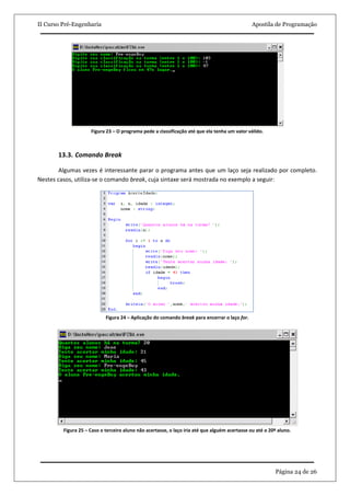 II Curso Pré-Engenharia                                                                         Apostila de Programação




                     Figura 23 – O programa pede a classificação até que ela tenha um valor válido.



       13.3. Comando Break

        Algumas vezes é interessante parar o programa antes que um laço seja realizado por completo.
Nestes casos, utiliza-se o comando break, cuja sintaxe será mostrada no exemplo a seguir:




                            Figura 24 – Aplicação do comando break para encerrar o laço for.




         Figura 25 – Caso o terceiro aluno não acertasse, o laço iria até que alguém acertasse ou até o 20º aluno.




                                                                                                          Página 24 de 26
 