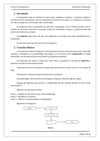 II Curso Pré-Engenharia                                                        Apostila de Programação



   1. Introdução
        O computador pode ser dividido em duas partes: hardware e software. O hardware engloba a
estrutura física do computador, como os componentes eletrônicos e as placas. Já o software é o conjunto
de todos os programas armazenados nele, a parte lógica.

        Os programas são os responsáveis por permitir o computador a fazer inúmeras tarefas, como o
controle de processos industriais, a execução remota de complicadas cirurgias e o gerenciamento das
contas dos clientes de um banco.

      Um programa nada mais é do que uma seqüência de instruções que possui significado para o
computador.

        O nosso foco será entender como criar um programa.

   2. Conceitos Básicos
        Uma etapa da criação do programa é a descrição deste através de ferramentas como a descrição
narrativa, o fluxograma e o pseudocódigo. Essa etapa é um momento onde o programador vai poder
desenvolver seus pensamentos de como resolver os problemas propostos.

      Essa descrição dos passos e etapas que serão feitos no programa é chamada de algoritmo e
podemos escrevê-lo através destas formas:

        A descrição narrativa: escreveremos aquilo que queremos fazer assim como em uma receita de
bolo.

        O fluxograma: utilizaremos figuras pra descrever o programa.

        O pseudocódigo: escreveremos (em português) o programa utilizando algumas regras.

       Exemplo de algoritmo para mostrar a multiplicação de dois números (escrito nas três formas
apresentadas):

        Algoritmo em descrição narrativa:

Passo 1 – Receber os dois números que serão multiplicados
Passo 2 – Multiplicar os números
Passo 3 – Mostrar o resultado obtido na multiplicação

        Algoritmo em fluxograma:




                                                Figura 1


                                                                                        Página 3 de 26
 