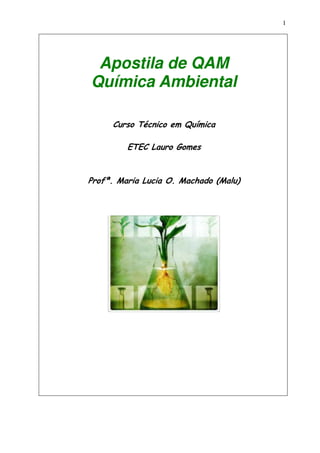 1
Apostila de QAM
Química Ambiental
Curso Técnico em Química
ETEC Lauro Gomes
Profª. Maria Lucia O. Machado (Malu)
 