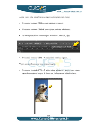 103
Agora, vamos criar uma cópia deste arquivo para o arquivo em branco.
Pressione o comando CTRL+A para selecionar o arquivo.
Pressione o comando CTRL+C para copiar o conteúdo selecionado.
Dê um clique no botão Fechar da guia do arquivo Capitulo9_1.jpg:
Pressione o comando CTRL + V para colar o conteúdo copiado.
Vamos agora redimensionar e mover esta imagem.
Pressione o comando CTRL+T, redimensione a imagem e a mova para o canto
esquerdo-superior da imagem de forma que ela fique como indicado abaixo:
 