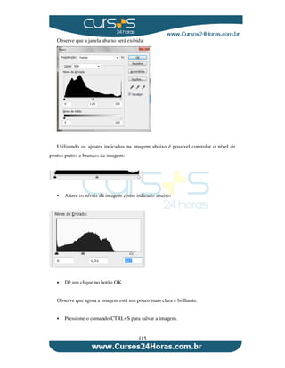 115
Observe que a janela abaixo será exibida:
Utilizando os ajustes indicados na imagem abaixo é possível controlar o nível de
pontos pretos e brancos da imagem:
Altere os níveis da imagem como indicado abaixo:
Dê um clique no botão OK.
Observe que agora a imagem está um pouco mais clara e brilhante.
Pressione o comando CTRL+S para salvar a imagem.
 