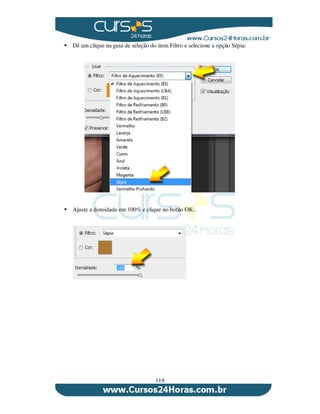 119
Dê um clique na guia de seleção do item Filtro e selecione a opção Sépia:
Ajuste a densidade em 100% e clique no botão OK:.
 