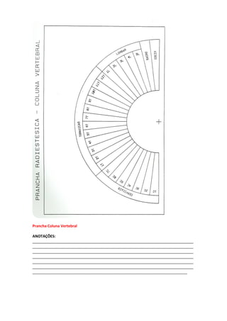 Prancha Coluna Vertebral
ANOTAÇÕES:
_____________________________________________________________________________
_____________________________________________________________________________
_____________________________________________________________________________
_____________________________________________________________________________
_____________________________________________________________________________
_____________________________________________________________________________
__________________________________________________________________________
 