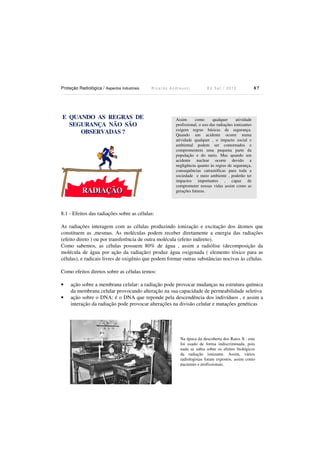 Proteção Radiológica / Aspectos Industriais R i c a r d o A n d r e u c c i E d S e t . / 2 0 1 3 8 7
E QUANDO AS REGRAS DE
SEGURANÇA NÃO SÃO
OBSERVADAS ?
RADIAÇÃORADIAÇÃORADIAÇÃO
8.1 - Efeitos das radiações sobre as células:
As radiações interagem com as células produzindo ionização e excitação dos átomos que
constituem as ,mesmas. As moléculas podem receber diretamente a energia das radiações
(efeito direto ) ou por transferência de outra molécula (efeito indireto).
Como sabemos, as células possuem 80% de água , assim a radiólise (decomposição da
molécula de água por ação da radiação) produz água oxigenada ( elemento tóxico para as
células), e radicais livres de oxigênio que podem formar outras substâncias nocivas às células.
Como efeitos diretos sobre as células temos:
• ação sobre a membrana celular: a radiação pode provocar mudanças na estrutura química
da membrana celular provocando alteração na sua capacidade de permeabilidade seletiva
• ação sobre o DNA: é o DNA que reponde pela descendência dos indivíduos , e assim a
interação da radiação pode provocar alterações na divisão celular e mutações genéticas
Assim como qualquer atividade
profissional, o uso das radiações ionizantes
exigem regras básicas de segurança.
Quando um acidente ocorre numa
atividade qualquer , o impacto social e
ambiental podem ser contornados e
compromentem uma pequena parte da
população e do meio. Mas quando um
acidente nuclear ocorre devido a
negligência quanto às regras de segurança,
consequências catrastóficas para toda a
sociedade e meio ambiente , poderão ter
impactos importantes , capaz de
comprometer nossas vidas assim como as
gerações futuras.
Na época da descoberta dos Raios X , este
foi usado de forma indiscriminada, pois
nada se sabia sobre os efeitos biológicos
da radiação ionizante. Assim, vários
radiologistas foram expostos, assim como
pacientes e profissionais.
 