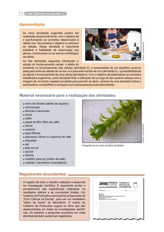 Apostila ramo de Elódea