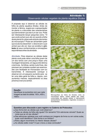 Apostila ramo de Elódea