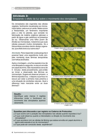 Apostila ramo de Elódea