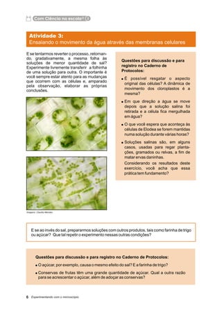 Apostila ramo de Elódea