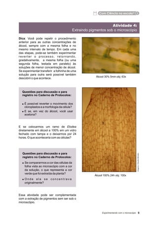 Apostila ramo de Elódea