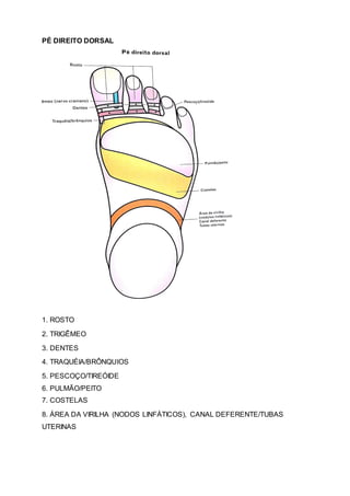 PÉ DIREITO DORSAL
1. ROSTO
2. TRIGÊMEO
3. DENTES
4. TRAQUÉIA/BRÔNQUIOS
5. PESCOÇO/TIREÓIDE
6. PULMÃO/PEITO
7. COSTELAS
8. ÁREA DA VIRILHA (NODOS LINFÁTICOS), CANAL DEFERENTE/TUBAS
UTERINAS
 