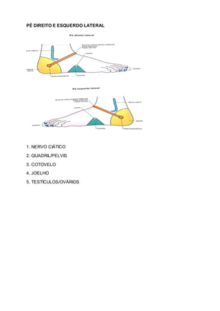 PÉ DIREITO E ESQUERDO LATERAL
1. NERVO CIÁTICO
2. QUADRIL/PELVIS
3. COTOVELO
4. JOELHO
5. TESTÍCULOS/OVÁRIOS
 