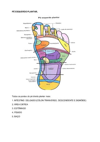 PÉ ESQUERDO PLANTAR,
Todos os pontos do pé direito plantar mais:
1. INTESTINO DELGADO (CÓLON TRANVERSO, DESCENDENTE E SIGMÓIDE)
2. ÁREA CIÁTICA
3. ESTÔMAGO
4. FÍGADO
5. BAÇO
 